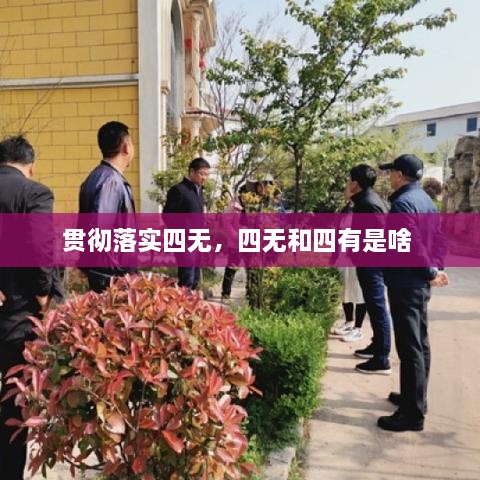 贯彻落实四无，四无和四有是啥 