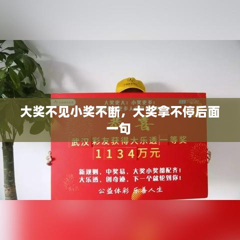 大奖不见小奖不断，大奖拿不停后面一句 