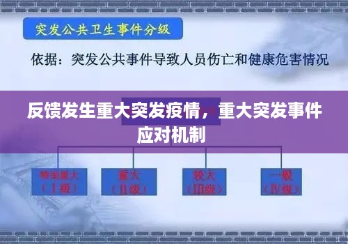 反馈发生重大突发疫情，重大突发事件应对机制 