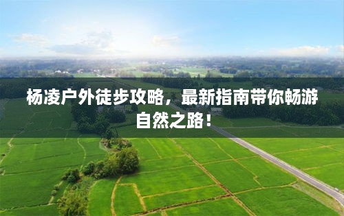 手不释卷