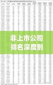 非上市公司排名深度剖析