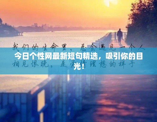 今日个性网最新短句精选，吸引你的目光！