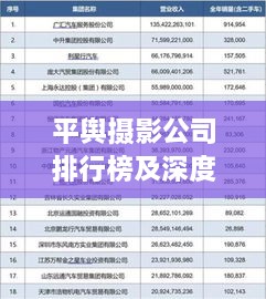 平舆摄影公司排行榜及深度市场分析