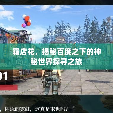 霜店花，揭秘百度之下的神秘世界探寻之旅