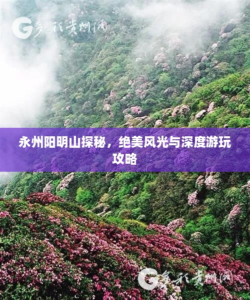 永州阳明山探秘，绝美风光与深度游玩攻略
