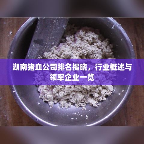 湖南猪血公司排名揭晓，行业概述与领军企业一览
