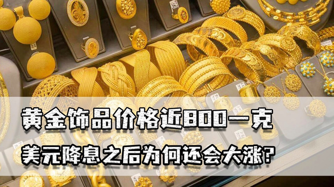 11月8日金豆包科技新品揭秘，智能体验革新，重塑生活科技