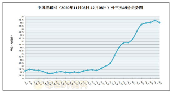 11月8日最新养猪省份趣事分享，与猪共度的温馨时光