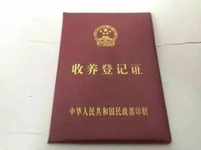 历史上的11月10日，会计证变革里程碑，取消证书的最新消息激发自信与成就感