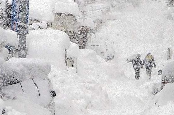 应对雪灾，今年暴雪下的中国应对策略与实用步骤指南