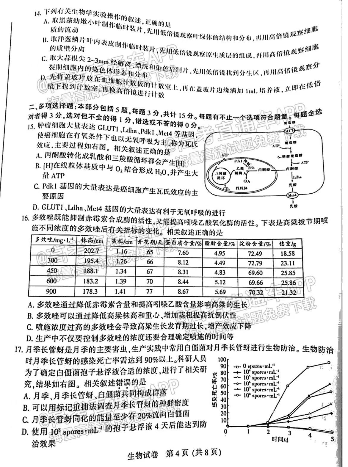 特准码资料大全澳门,最新研究解析说明_RWF816.78登绝境