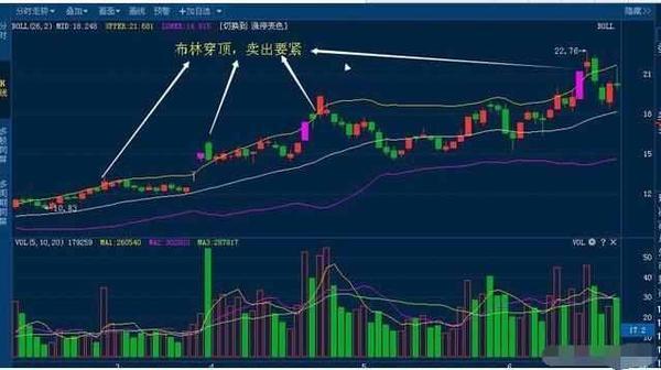 11月河间新闻最新概览，时事热点与地方发展动态聚焦