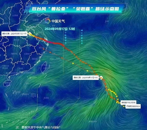 韩国台风应对指南，获取往年台风消息与应对受灾策略