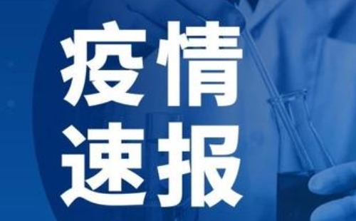 河南疫情最新动态，11月疫情分析与防控要点解读及最新情况今日更新