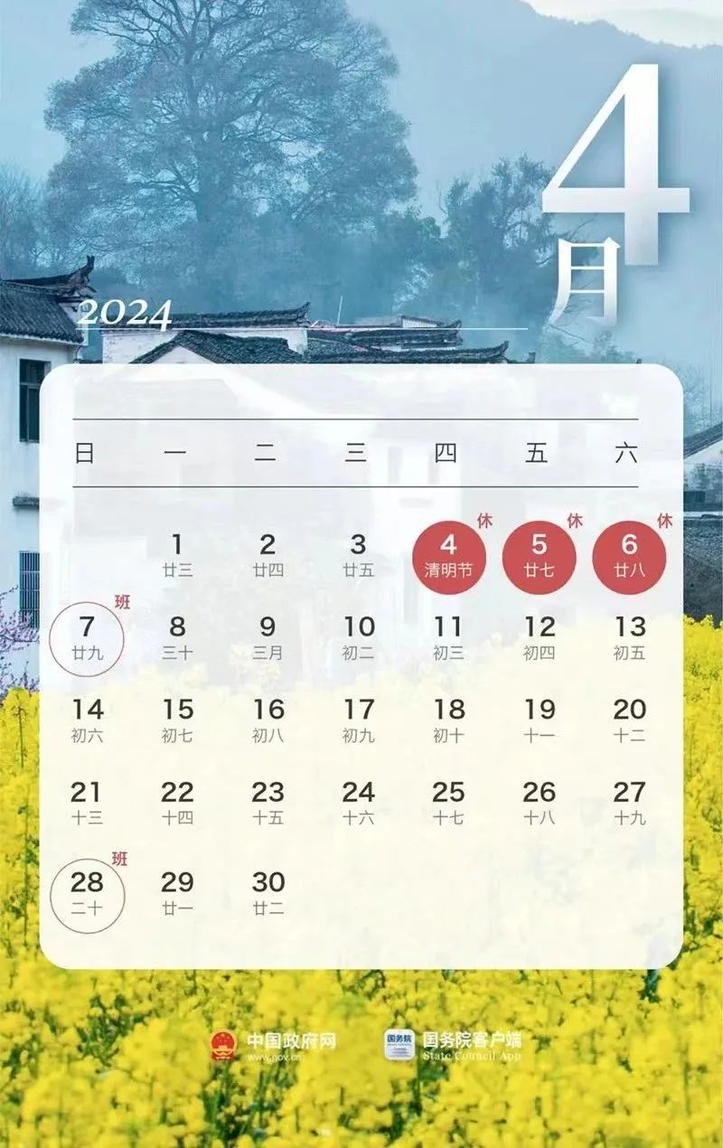 2024年11月15日 第6页