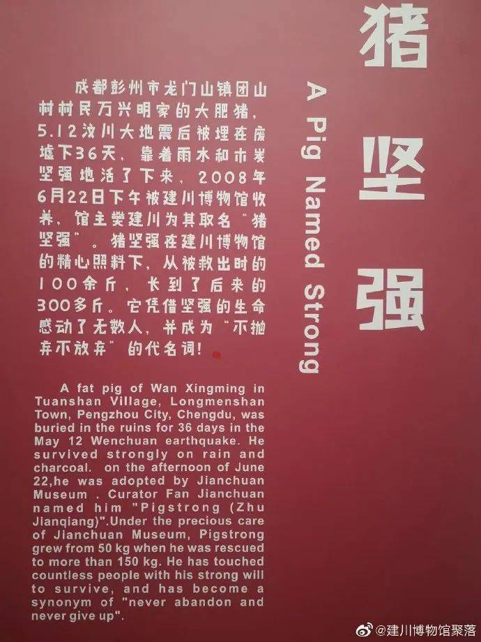 历史上的11月14日成都限号通知，科技出行新时代的起点