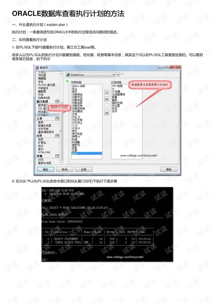 4949免费正版资料大全,数据导向计划_DVY27.300资源版