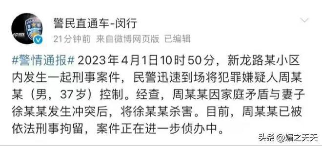 独家爆料，周某最新动态揭秘，惊喜连连的11月16日纪实