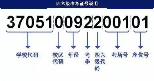 2024澳门资料大全完整版四不像,创新思维解答解释计划_MRJ3.68.51线上版