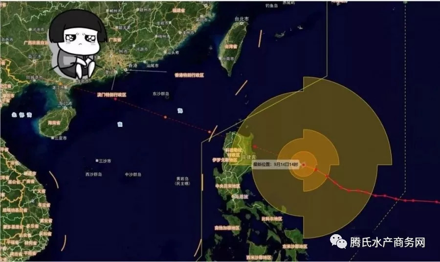 2024年11月17日 第95页