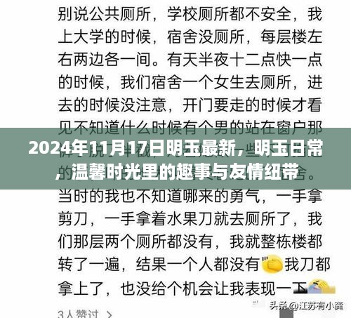 温馨时光里的趣事与友情纽带——明玉的日常记录（最新更新日期，2024年11月17日）