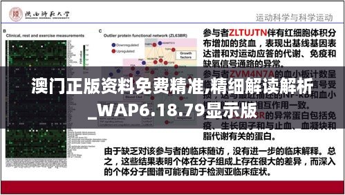 澳门正版资料免费精准,精细解读解析_WAP6.18.79显示版