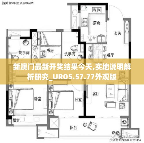 新澳门最新开奖结果今天,实地说明解析研究_URO5.57.77外观版