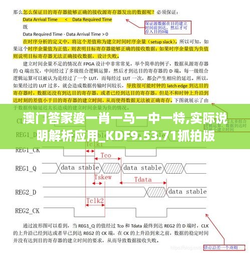 澳门答家婆一肖一马一中一特,实际说明解析应用_KDF9.53.71抓拍版