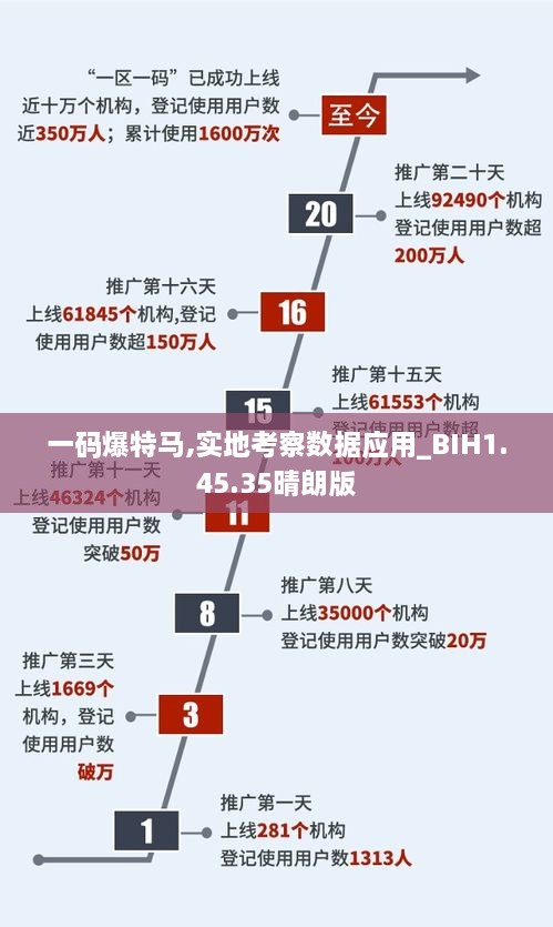 一码爆特马,实地考察数据应用_BIH1.45.35晴朗版