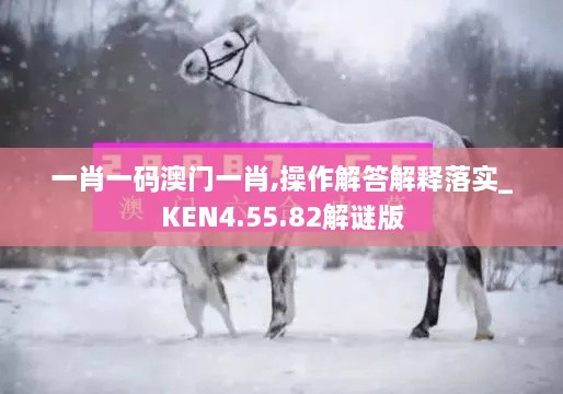 一肖一码澳门一肖,操作解答解释落实_KEN4.55.82解谜版