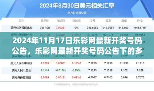 2024年11月17日乐彩网开奖号码公告及多维度观点探讨