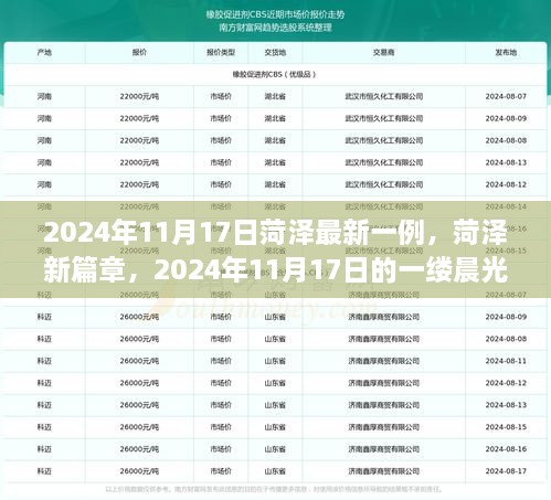 菏泽最新病例报告，2024年11月17日的曙光与希望之光