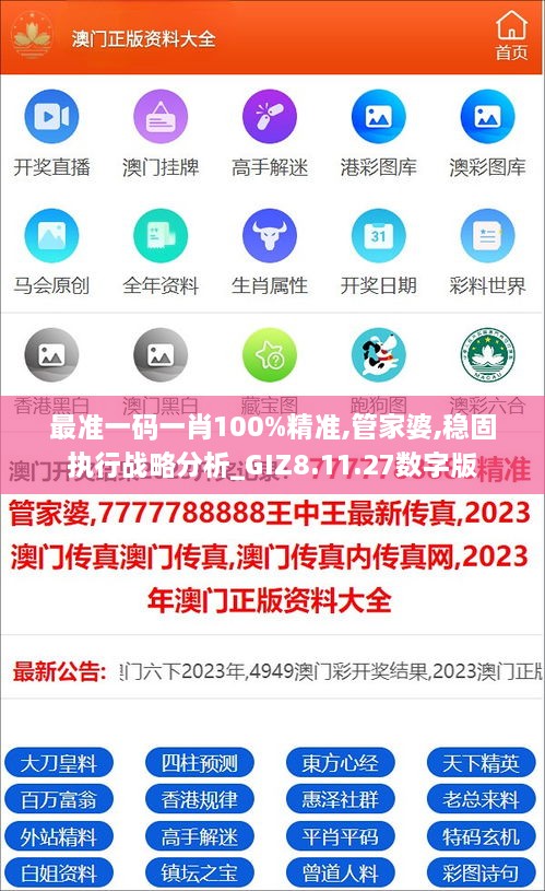 最准一码一肖100%精准,管家婆,稳固执行战略分析_GIZ8.11.27数字版