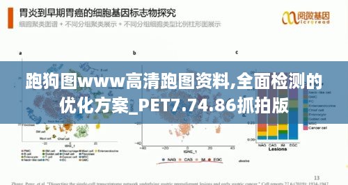 初遇在故事开头 第11页