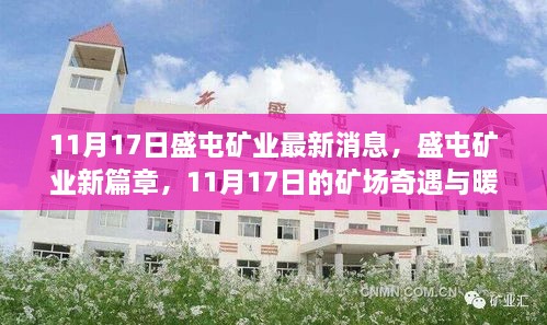 盛屯矿业最新动态，矿场奇遇与深厚友情的新篇章（11月17日）