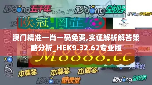 澳门精准一肖一码免费,实证解析解答策略分析_HEK9.32.62专业版