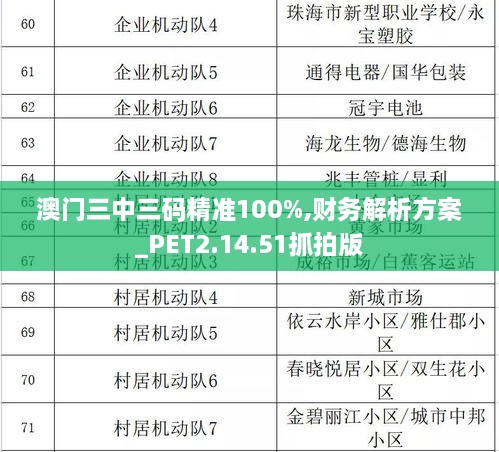 澳门三中三码精准100%,财务解析方案_PET2.14.51抓拍版