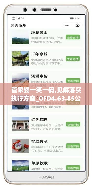 管家婆一笑一码,见解落实执行方案_OFD4.63.85公开版