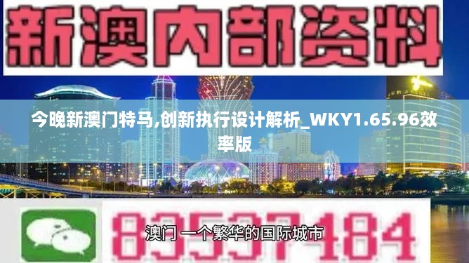 今晚新澳门特马,创新执行设计解析_WKY1.65.96效率版