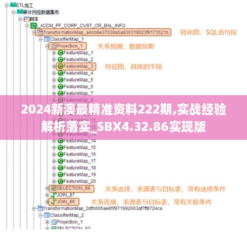 2024新澳最精准资料222期,实战经验解析落实_SBX4.32.86实现版