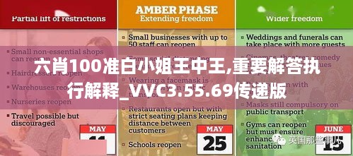 六肖100准白小姐王中王,重要解答执行解释_VVC3.55.69传递版