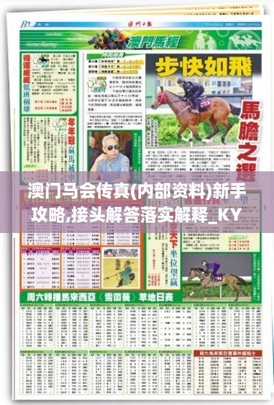 澳门马会传真(内部资料)新手攻略,接头解答落实解释_KYT4.61.60安全版