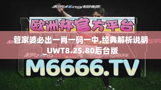 管家婆必出一肖一码一中,经典解析说明_UWT8.25.80后台版