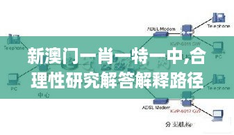 新澳门一肖一特一中,合理性研究解答解释路径_KTU4.80.55活跃版