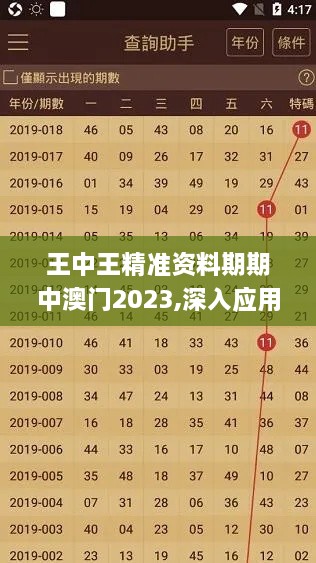 王中王精准资料期期中澳门2023,深入应用数据执行_JAY9.68.87网络版