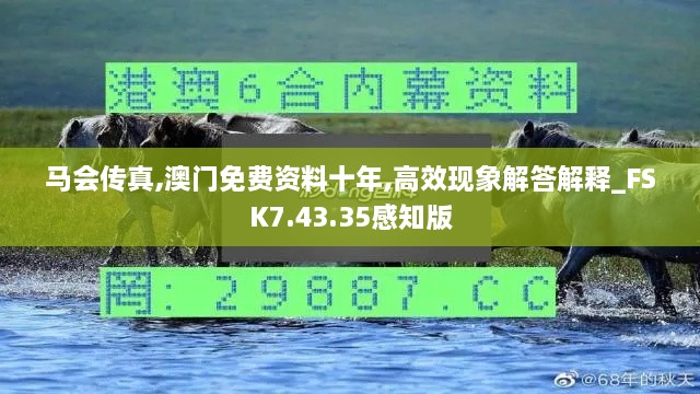 马会传真,澳门免费资料十年,高效现象解答解释_FSK7.43.35感知版