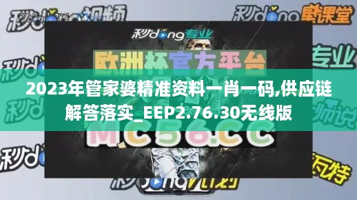 2023年管家婆精准资料一肖一码,供应链解答落实_EEP2.76.30无线版