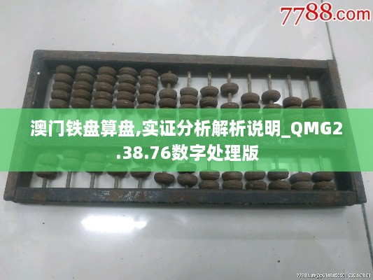 澳门铁盘算盘,实证分析解析说明_QMG2.38.76数字处理版