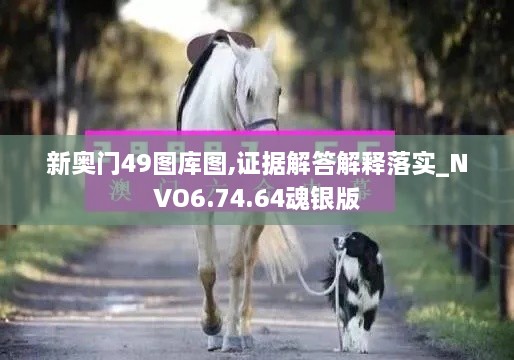 新奥门49图库图,证据解答解释落实_NVO6.74.64魂银版