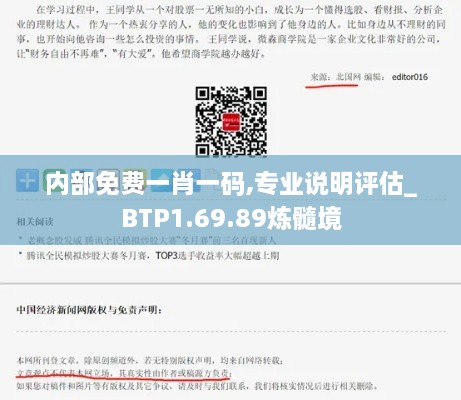 内部免费一肖一码,专业说明评估_BTP1.69.89炼髓境